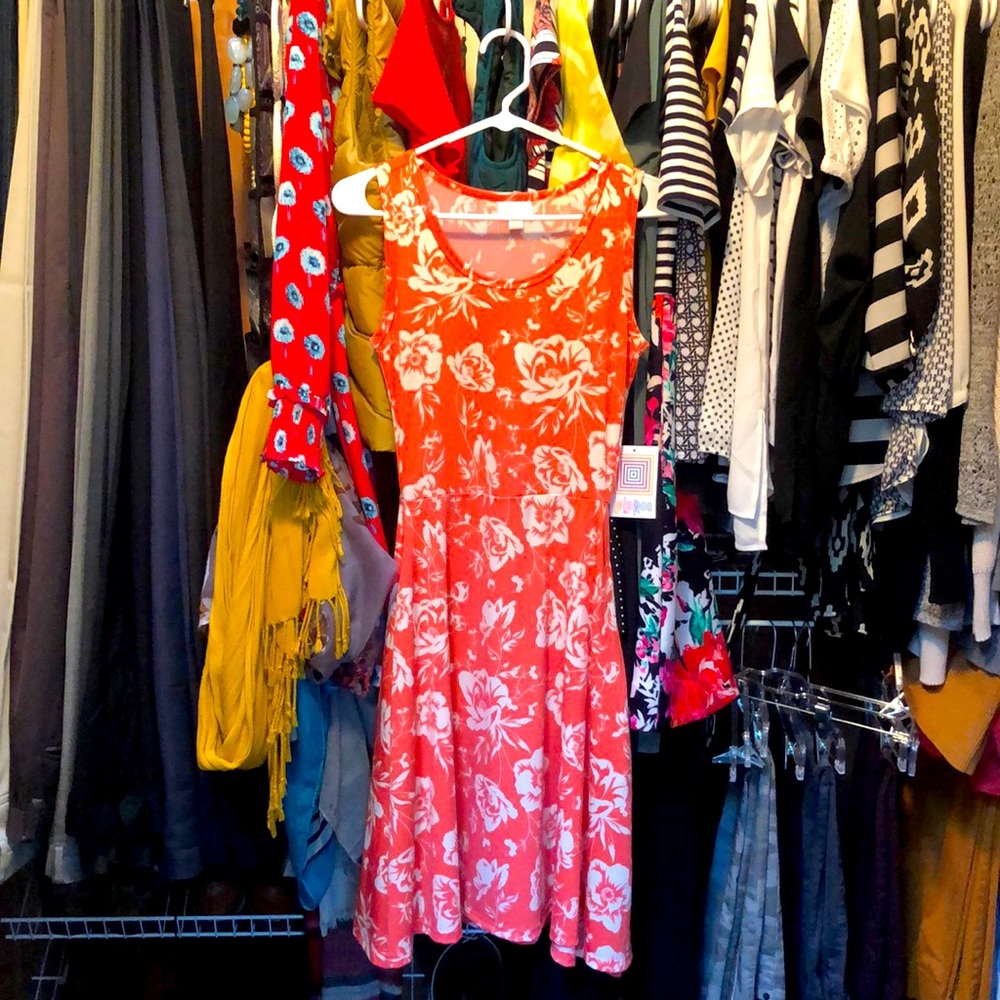 LuLaRoe Nicki Dress
